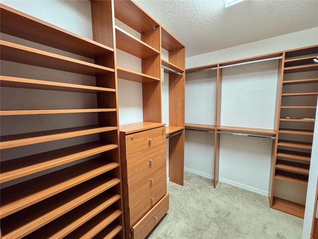 14933 Thoroughbred Ln, Montverde, FL 34756 - walk in closet featuring light carpet