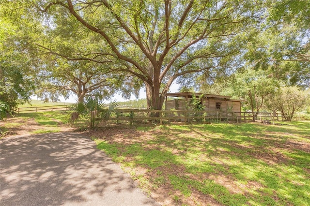 14933 Thoroughbred Ln, Montverde, FL 34756 - view of yard