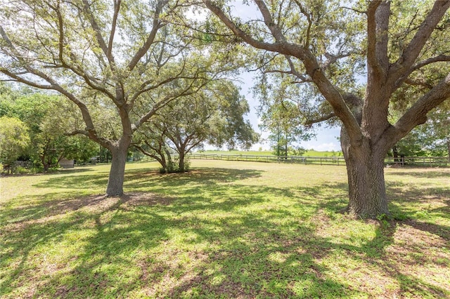 14933 Thoroughbred Ln, Montverde, FL 34756 - view of yard