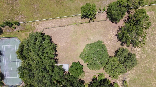 14933 Thoroughbred Ln, Montverde, FL 34756 - bird's eye view
