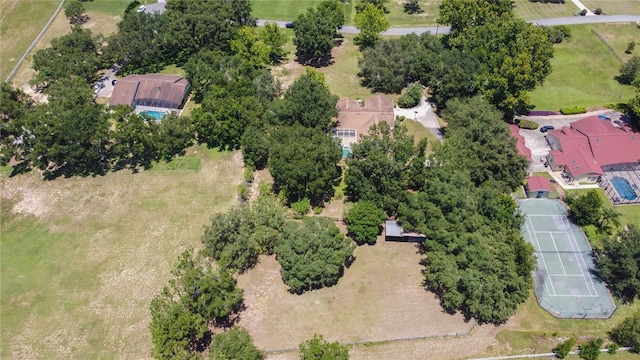 14933 Thoroughbred Ln, Montverde, FL 34756 - aerial view