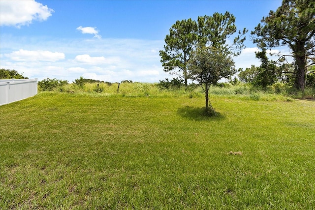 37125 Scenic Bluff Dr, Grand Island, FL 32735 - photo 25