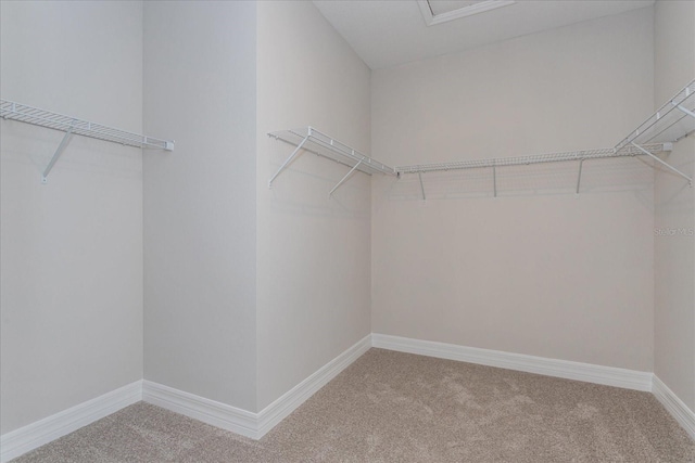 111 Bottle Brush Dr, Haines City, FL 33844 - walk in closet with carpet floors