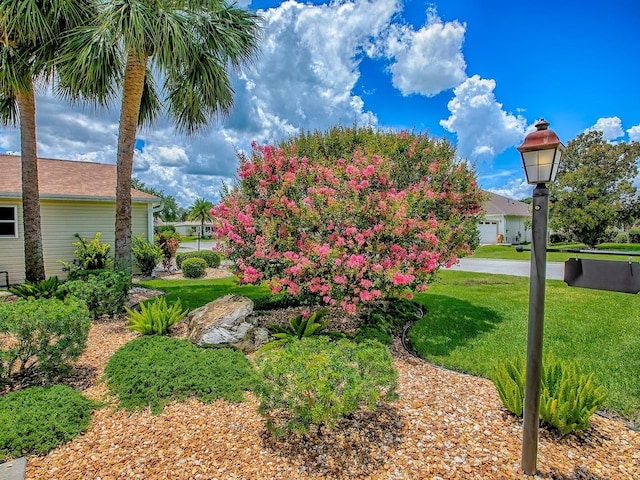 17335 SE 80th Turnbull Ct, The Villages, FL 32162 - photo 3