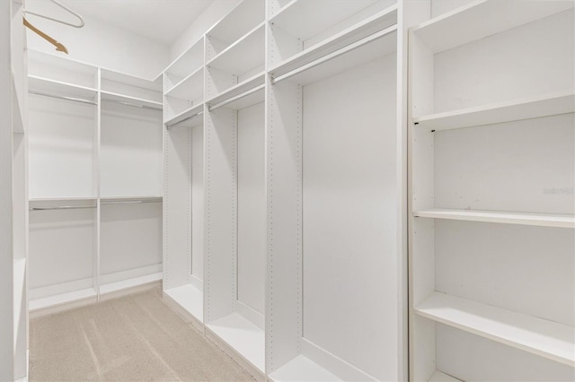 6109 Spinnaker Loop, Lady Lake, FL 32159 - walk in closet featuring carpet