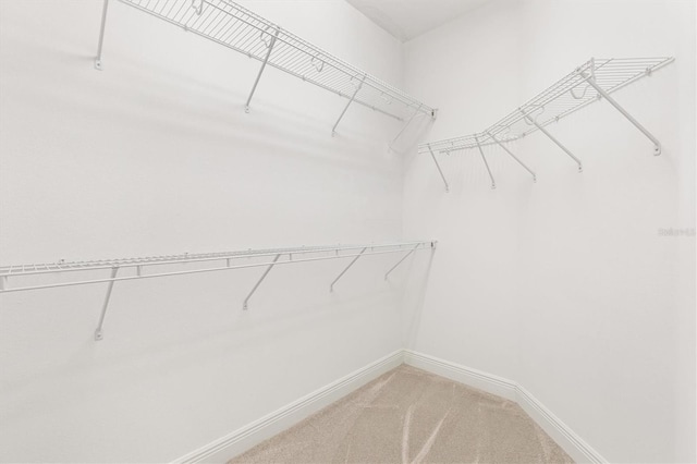 6109 Spinnaker Loop, Lady Lake, FL 32159 - walk in closet with light carpet