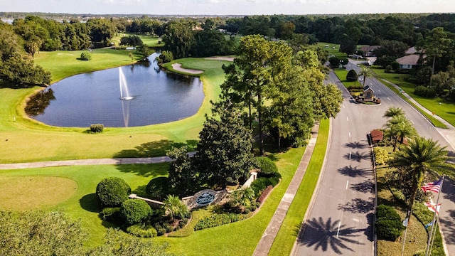 9051 Saint Andrews Way, Mount Dora, FL 32757 - photo 29