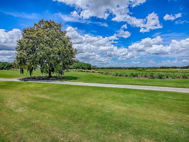 1417 Blease Loop, The Villages, FL 32162 - photo 4