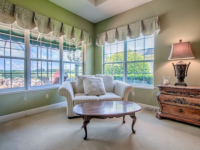 1417 Blease Loop, The Villages, FL 32162 - photo 30