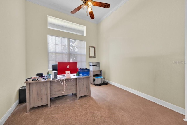 832 Ashton Oaks Cir, Lakeland, FL 33813 - photo 15