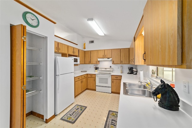 11793 SE 74th Ter, Belleview, FL 34420 - photo 12