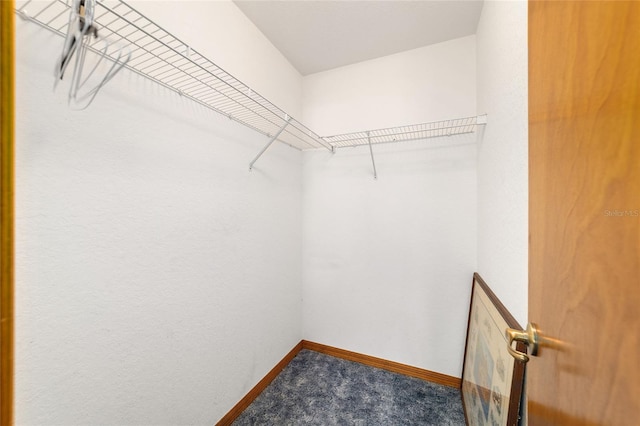 11793 SE 74th Ter, Belleview, FL 34420 - photo 24