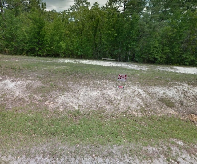 TBD Masters Rd, Middleburg, FL 32068 - photo 9