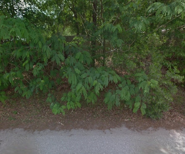 TBD Masters Rd, Middleburg, FL 32068 - photo 11