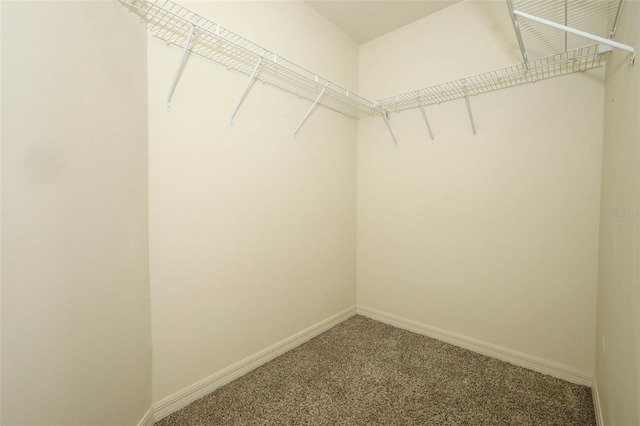 1005 Tony Cir, Saint Cloud, FL 34772 - photo 30