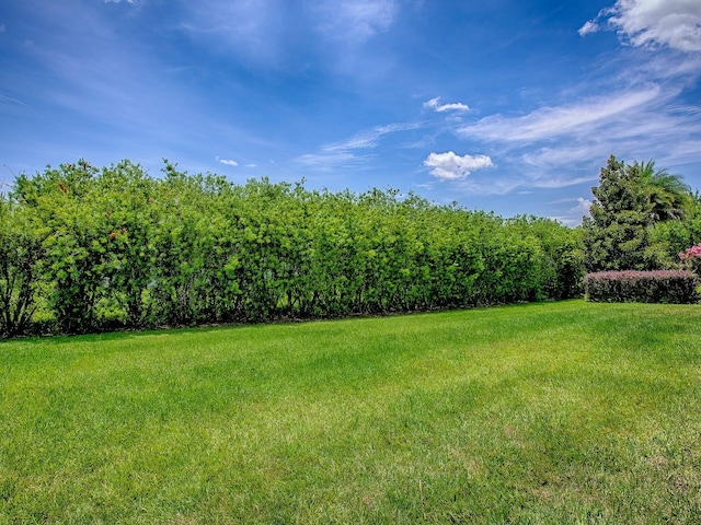 10952 SE 169th Pl, Summerfield, FL 34491 - photo 47