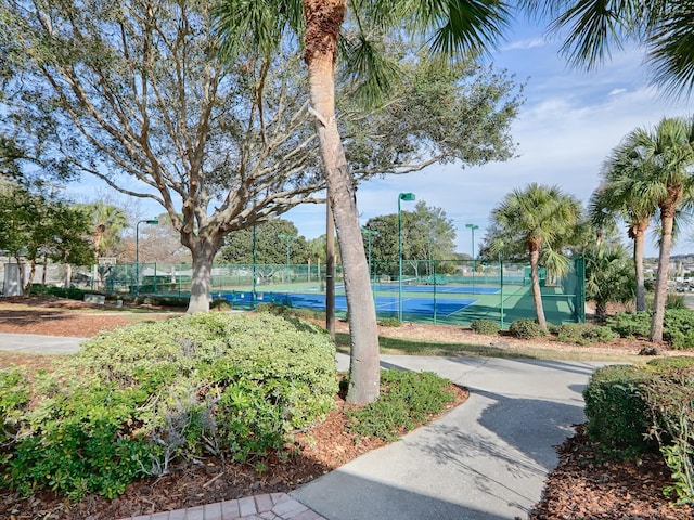 10952 SE 169th Pl, Summerfield, FL 34491 - photo 80
