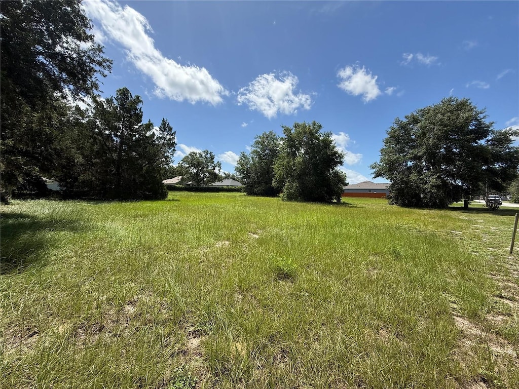 TBD Tarpon Ave, Umatilla, FL 32784 - photo 1