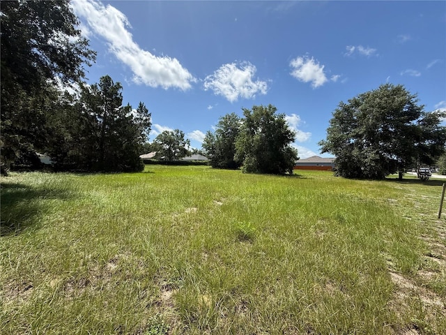 TBD Tarpon Ave, Umatilla, FL 32784 - photo 1