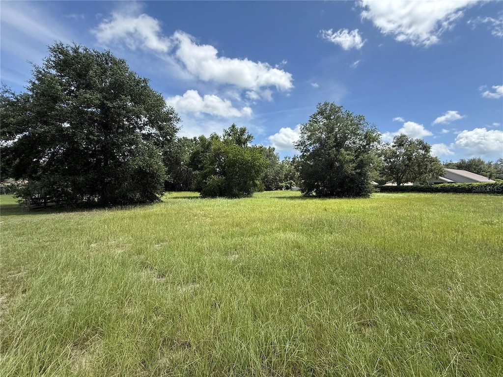 TBD Tarpon Ave, Umatilla, FL 32784 - photo 2