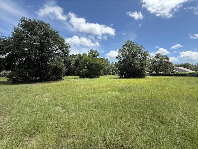TBD Tarpon Ave, Umatilla, FL 32784 - photo 2