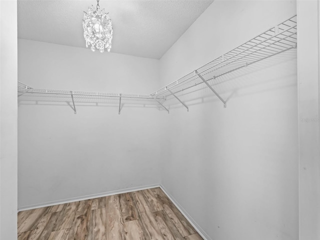 220 Estrada Pl, The Villages, FL 32159 - photo 19