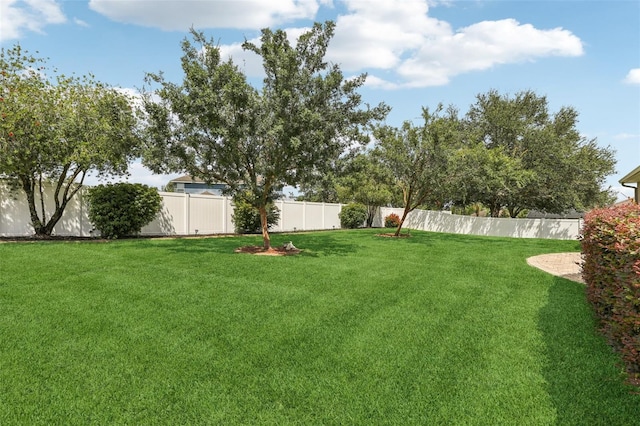 377 Dagama Dr, Clermont, FL 34715 - photo 31