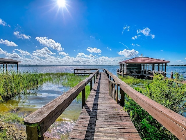 3200 Oak Hill Rd, Mount Dora, FL 32757 - photo 59