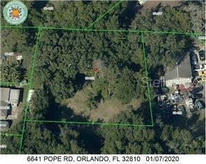 6641 Pope Rd, Orlando, FL 32810 - photo 3