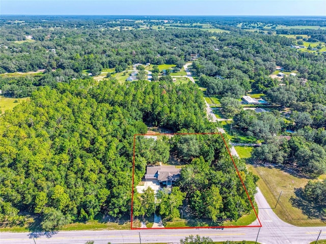 4429 Lake Griffin Rd, Lady Lake, FL 32159 - photo 6