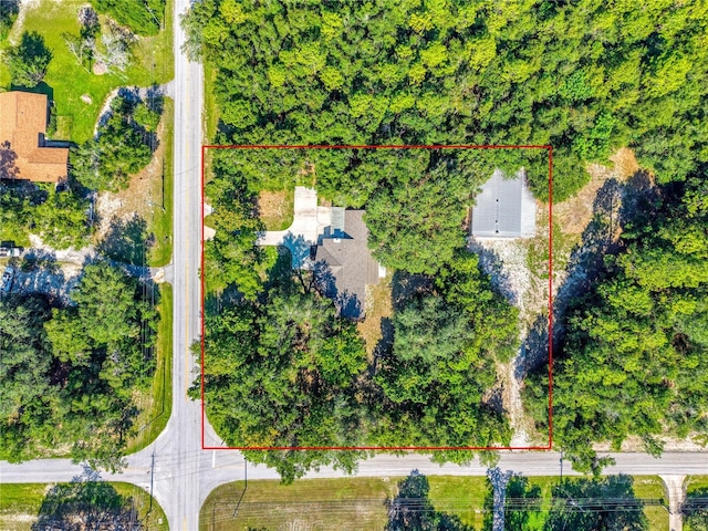 4429 Lake Griffin Rd, Lady Lake, FL 32159 - photo 69