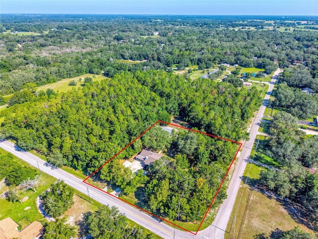 4429 Lake Griffin Rd, Lady Lake, FL 32159 - photo 70