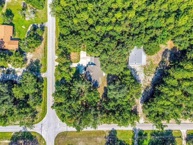 4429 Lake Griffin Rd, Lady Lake, FL 32159 - photo 72