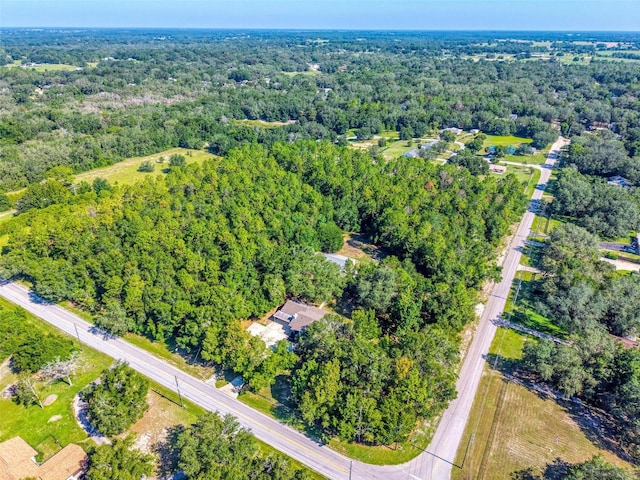 4429 Lake Griffin Rd, Lady Lake, FL 32159 - photo 73
