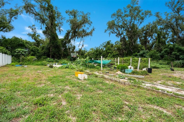 608 Willard Ave, Fruitland Park, FL 34731 - photo 25