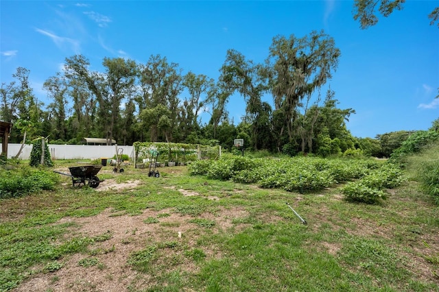 608 Willard Ave, Fruitland Park, FL 34731 - photo 26