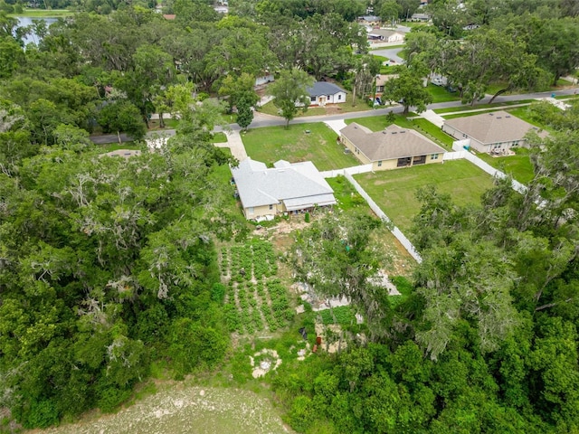 608 Willard Ave, Fruitland Park, FL 34731 - photo 32