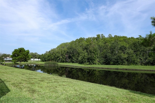 4957 Pall Mall St E, Kissimmee, FL 34758 - photo 25