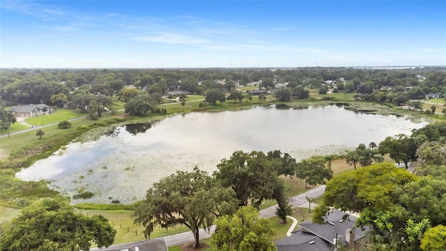 1011 Lake Gracie Dr, Eustis, FL 32726 - photo 41