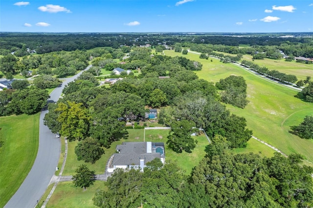 423 Spring Hollow Blvd, Apopka, FL 32712 - photo 53