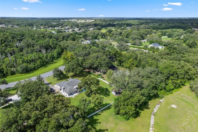 423 Spring Hollow Blvd, Apopka, FL 32712 - photo 54