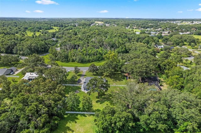 423 Spring Hollow Blvd, Apopka, FL 32712 - photo 56