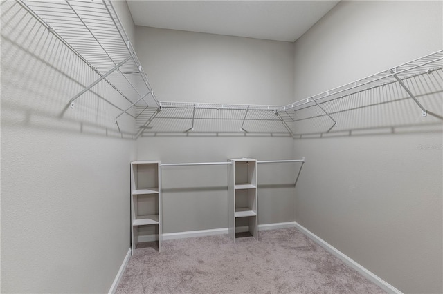 10361 Church Hammock Rd, Leesburg, FL 34748 - photo 18