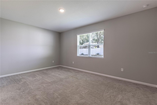 10361 Church Hammock Rd, Leesburg, FL 34748 - photo 19