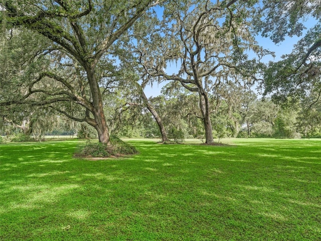 722 Crk 312, Bushnell, FL 33513 - photo 39