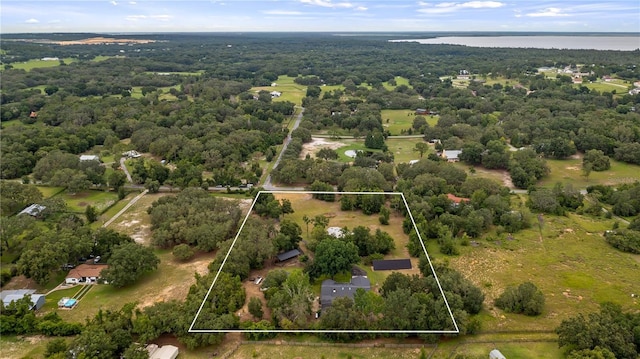 15520 Vinola Dr, Montverde, FL 34756 - photo 6