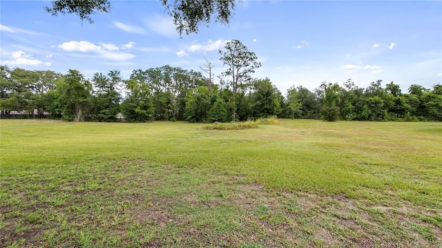 15520 Vinola Dr, Montverde, FL 34756 - photo 68