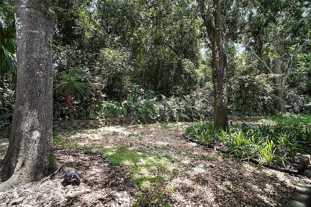 2549 Country Club Rd, Eustis, FL 32726 - photo 31