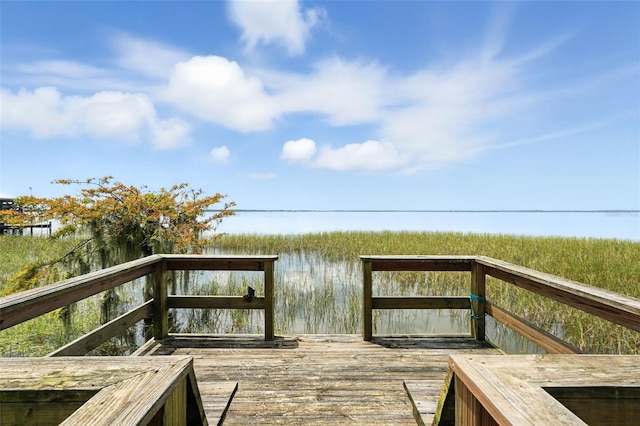 32721 Lake Eustis Dr, Tavares, FL 32778 - photo 53