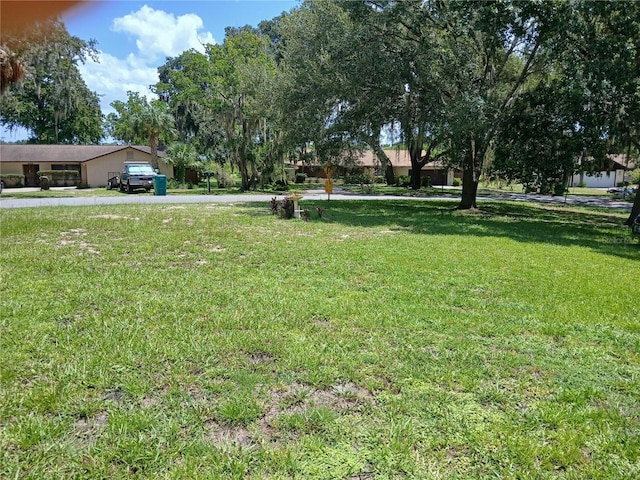 5272 County Road 114d, Wildwood, FL 34785 - photo 2
